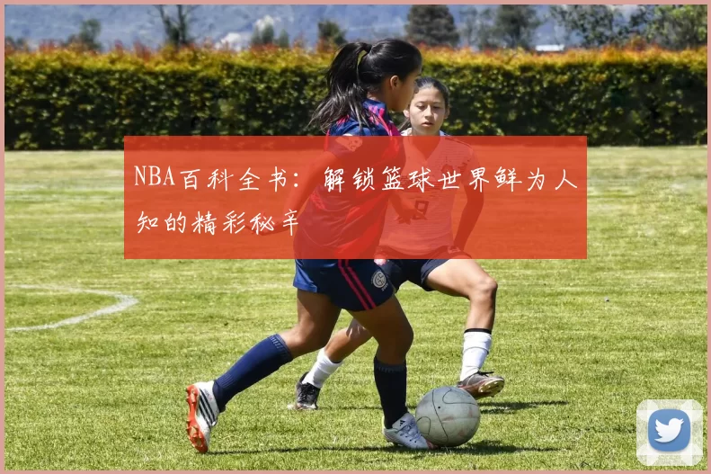 NBA百科全书：解锁篮球世界鲜为人知的精彩秘辛