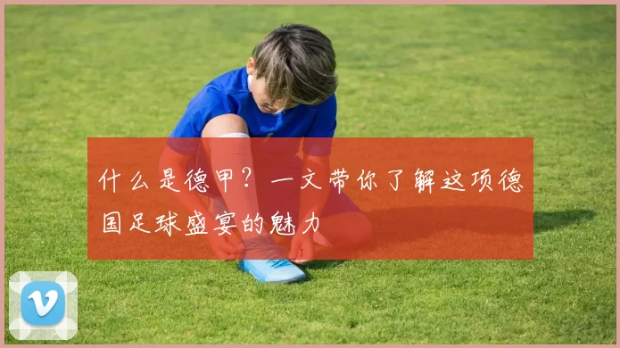 什么是德甲?一文带你了解这项德国足球盛宴的魅力