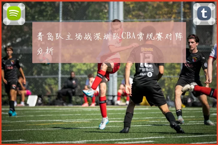 青岛队主场战深圳队CBA常规赛对阵分析